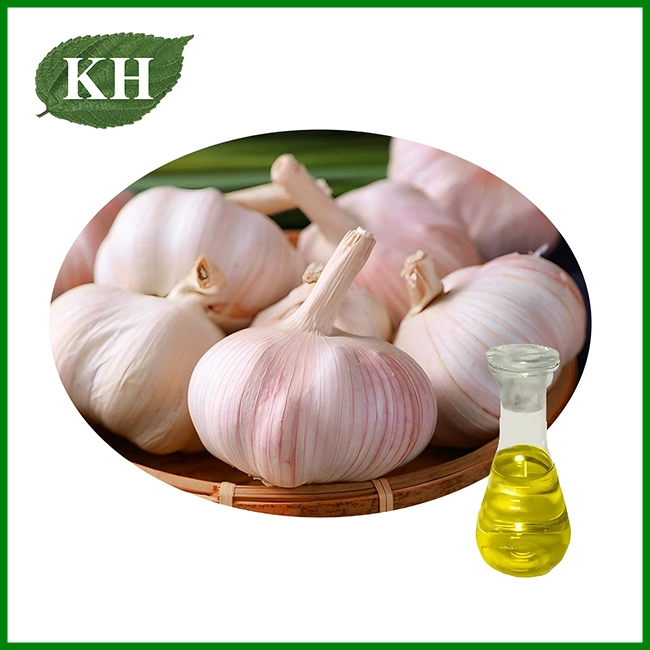 Bulk Natural Garlic Oil Supplier